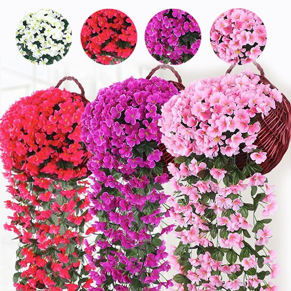 Декоративен висящ цветя - Hangyplant